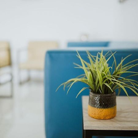 Hotel Capital Frontera Monclova Zewnętrze zdjęcie
