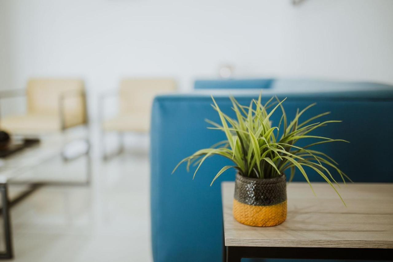 Hotel Capital Frontera Monclova Zewnętrze zdjęcie